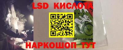 PSILOCYBIN Тверь